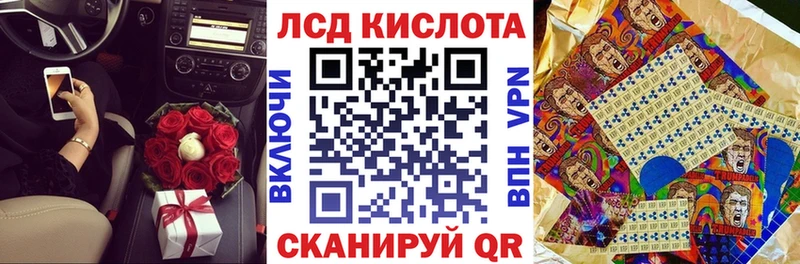 mega ONION  Каргополь  Наркотические марки 1,8мг 