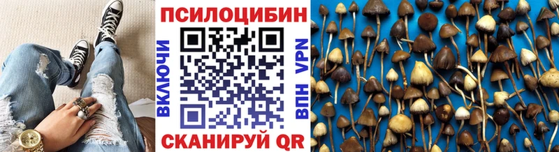 Галлюциногенные грибы мухоморы  наркошоп  Каргополь 